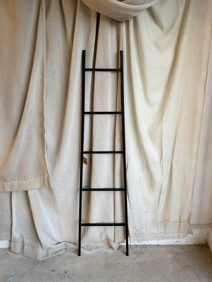 Black Metal Decorative Ladder