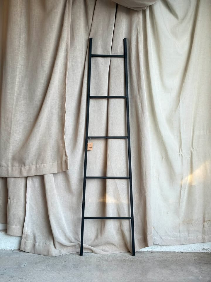 Black Metal Decorative Ladder
