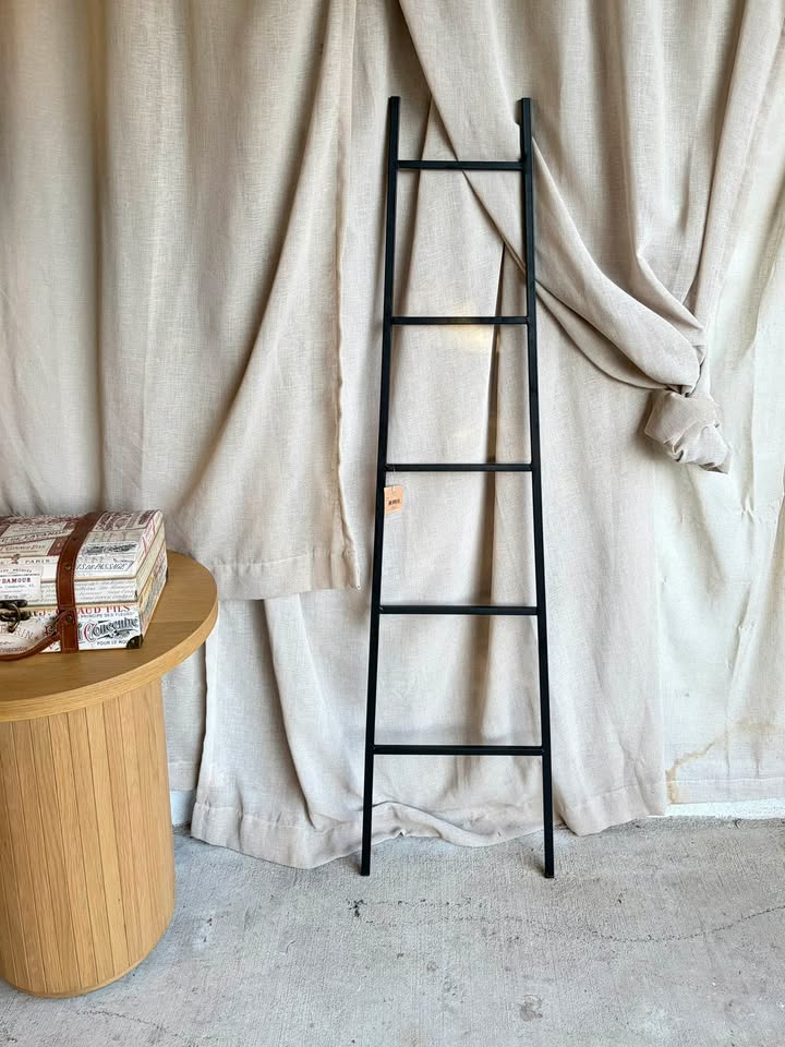 Black Metal Decorative Ladder