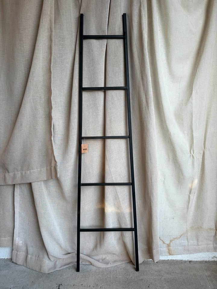 Black Metal Decorative Ladder